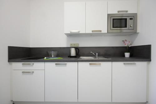 Kuchyň nebo kuchyňský kout v ubytování Alveo Suites