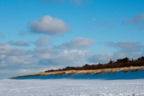 a bird flying in the sky over a snow covered field at Hotel-Marks-Garni in Zingst