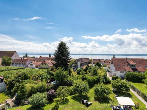 an aerial view of a village with houses and trees at Bodenseehotel Renn in Hagnau