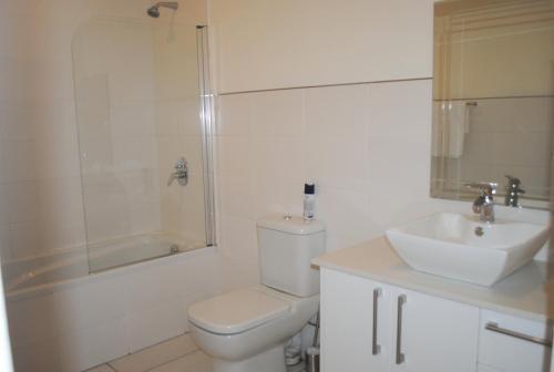 Un baño con inodoro, lavabo y ducha. en 86 Edison Self Catering, en Johannesburgo