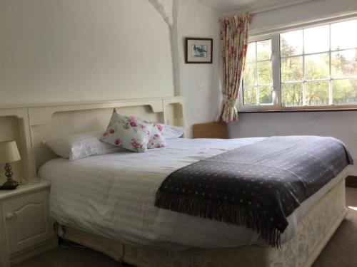 a bedroom with a bed with pillows and a window at Ryan's River Lodge B&B in Cong