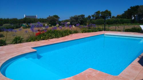 - une piscine bleue dans une cour fleurie dans l'établissement Gîte de Porspol, à Brignogan-Plage