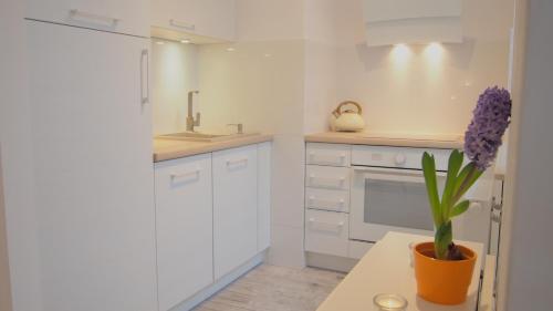 Η κουζίνα ή μικρή κουζίνα στο Svoboda Apartament