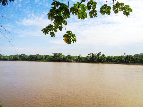 a view of a river with trees in the background at Tambopata River in Puerto Maldonado