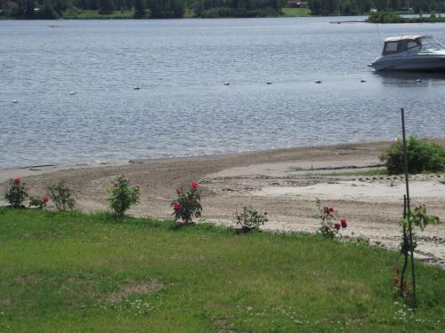 a boat on the shore of a lake with flowers at Les Chalets Baie Cascouia in Lac Kénogami