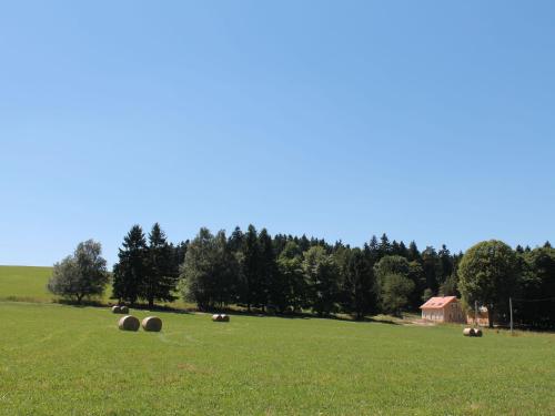 Fotografie z fotogalerie ubytování Holiday Home Milíre Bohemian Forest v destinaci Milíře