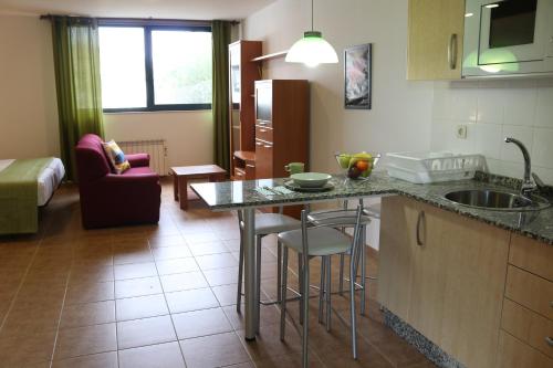 uma cozinha com um lavatório e uma bancada em Apartamentos Turísticos Cancelas by Bossh Hotels em Santiago de Compostela