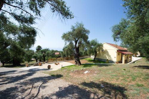 a building with a tree in the middle of a field at Renata Rooms & Studios in Barbati