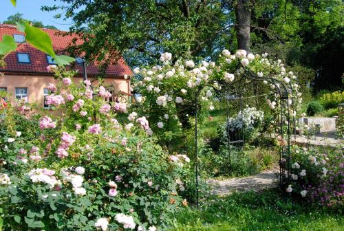 Taman di luar Feriendomizil Alter Garten