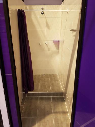 baño con ducha y puerta de cristal en Purple Monkey Hostel, en Medellín