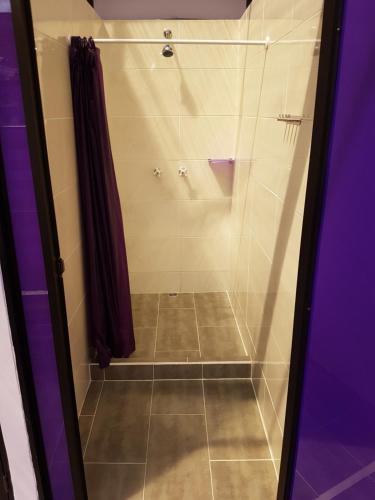 a bathroom with a shower with a glass door at Purple Monkey Hostel in Medellín