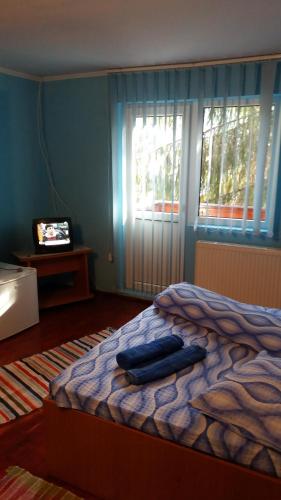 ブルトプにあるCasa Andreea-Mariaのベッドルーム(ベッド1台、テレビ付)