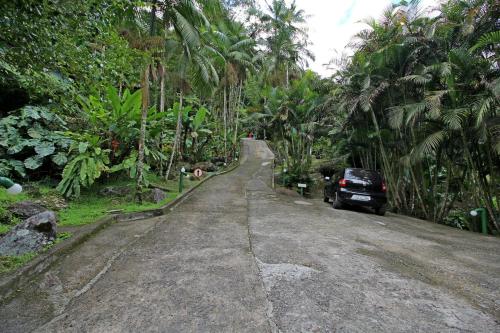 a car parked on the side of a road with palm trees at Chalés Terras Altas de Paraty in Paraty