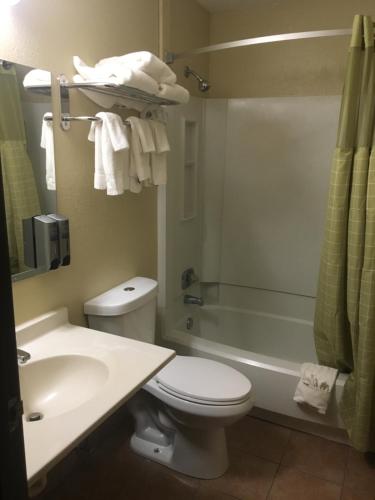 a bathroom with a toilet and a sink and a tub at Faribault Hometown Inn & Suites in Faribault
