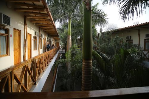 a wooden walkway with palm trees and a building at Casa Andina Standard Nasca in Nazca