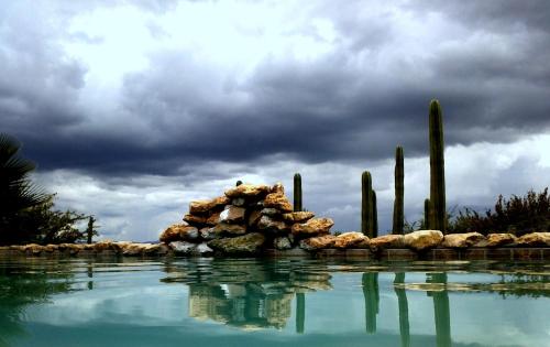 a pool of water with cacti and rocks at Sasa Safari Camp & Tours in Outjo