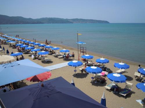 a beach with many blue and white umbrellas at Il Lido in Giannella