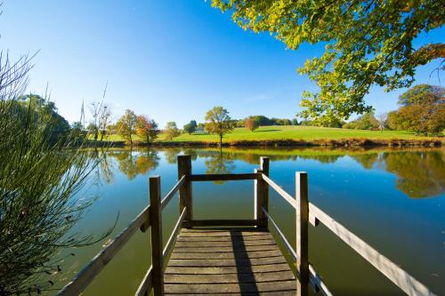 a wooden bridge over a lake with trees in the background at Etoile de Pompadour in Arnac-Pompadour