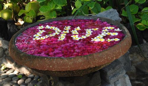 a large bowl of flowers on a stone wall at Amed Cafe & Hotel Kebun Wayan in Amed