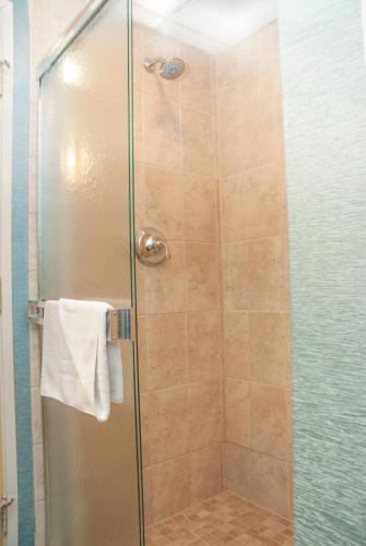 a shower with a glass door with a towel at Grand Beach Resort Hotel in Traverse City