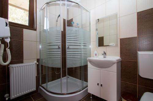 uma casa de banho com um chuveiro e um lavatório. em Pensiunea Royal Garden em Sâmbăta de Sus