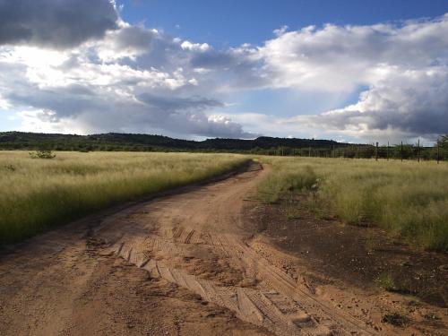 a dirt road in the middle of a field at Sasa Safari Camp & Tours in Outjo