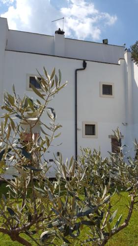 a white building with a tree in front of it at Masseria Convento in Novoli
