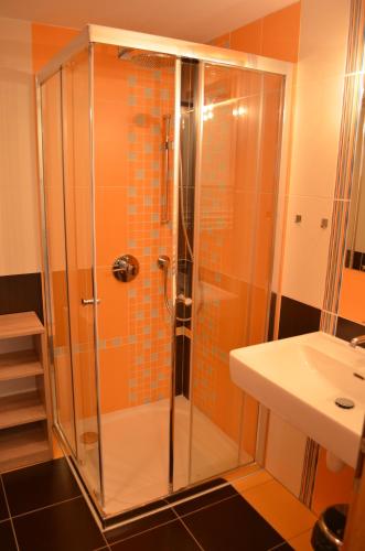 prysznic ze szklanymi drzwiami obok umywalki w obiekcie Apartmány Nova Lake w mieście Nová Pec