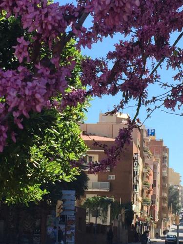 un montón de flores púrpuras colgando de un árbol en Hotel Cosmos Tarragona, en Tarragona