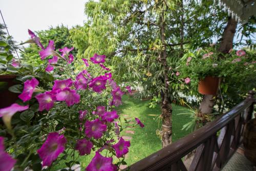 a balcony with purple flowers and trees at Phuttal Residence in Phra Nakhon Si Ayutthaya