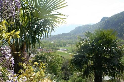 a view of a valley with palm trees and mountains at Casa Aries & Studio Aurora, Cavigliano in Cavigliano
