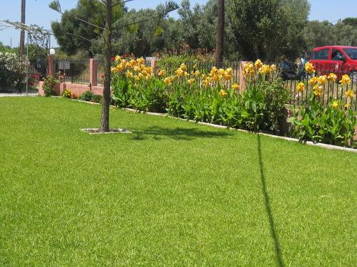 Gallery image of Paradise Studios in Svoronata