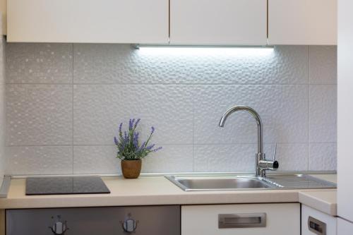 a kitchen sink with a potted plant on the counter at Central Boutique Apartments with balconies, in walking distance to the sea in Zadar