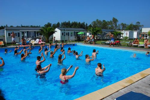 a group of people in a swimming pool at Casa da Felicidade in Pataias