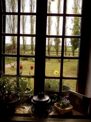 a window with a view of a field seen through it at La Ferme Des Vignes in Hotot-en-Auge