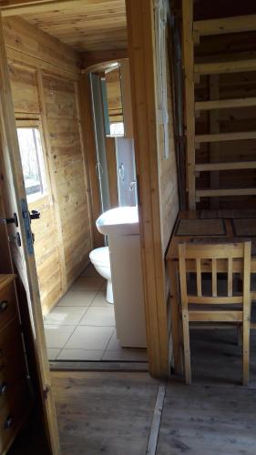 a bathroom with a toilet and a sink in a cabin at Wakacyjne domki in Solina