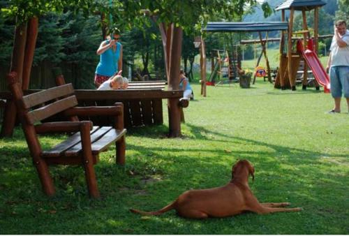 a dog laying in the grass next to a park at Penzión Šuštiak in Terchová