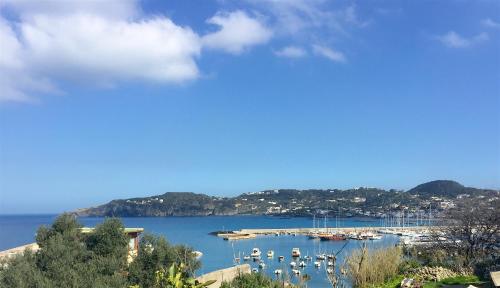 a view of a harbor with boats in the water at Harbour View B&B in Ischia