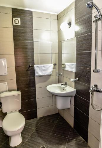 a bathroom with a toilet and a sink at Dimitur Jekov Guest House in Obzor