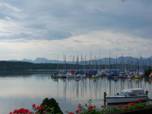 a bunch of boats docked in a harbor at SeeHotel Wassermann in Seebruck