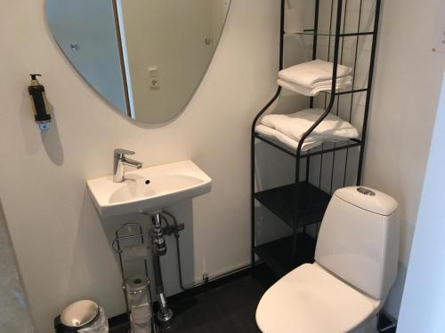 a bathroom with a toilet, sink and mirror at Trehörna Hotell & Konferens in Trehörna