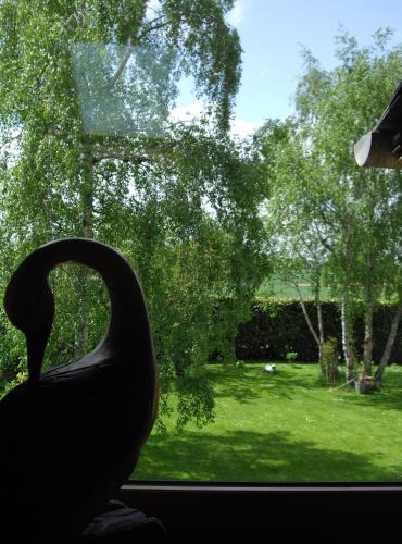 a view of a garden from a window of a car at La Maison du Haut Plessix in Clayes