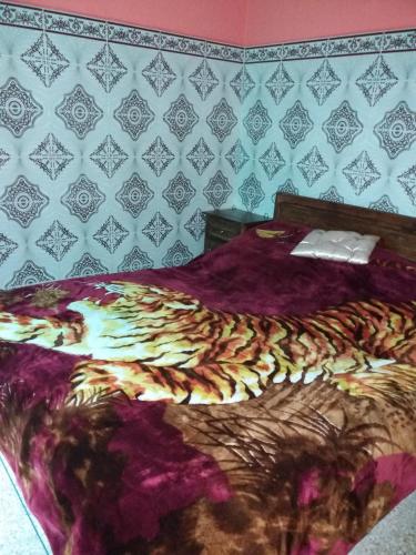 a bed with a purple blanket and a wall at Chez Pascal et Nicole in Oualidia