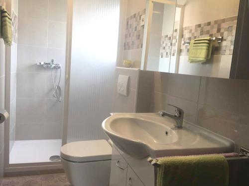a bathroom with a sink and a toilet and a shower at Apartman Milutin in Vrsi
