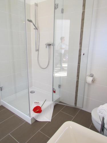 a bathroom with a shower and a toilet and a sink at AMENITY-Garden-Apartments in Munich