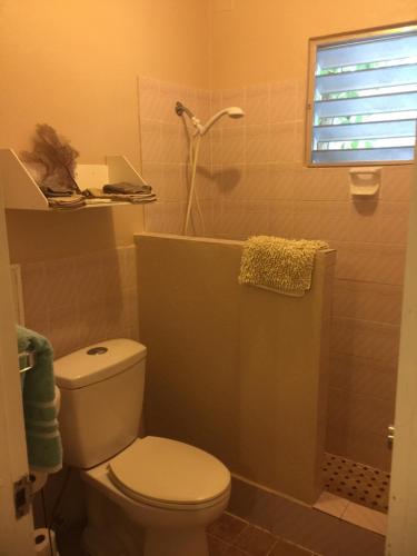 a bathroom with a toilet and a shower at Palmetto Guesthouse in Culebra