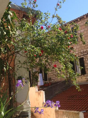Κήπος έξω από το Rooms Lami