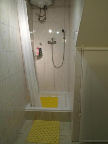 a small bathroom with a shower and a tub at Apartment Antonio in Šibenik