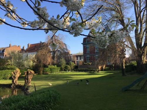 ein Park mit Bäumen und Vögeln im Gras in der Unterkunft Villa Marguerite - Chambres d'Hôtes in Saint-Omer