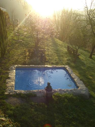 a small pond in the middle of a grassy field at Hotel-Restaurant Burg-Ramstein in Kordel